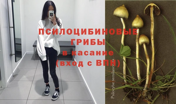 гидропоника Белоозёрский